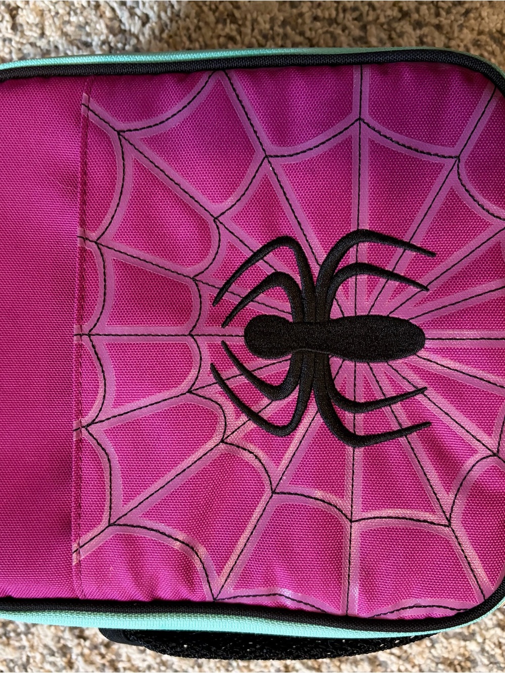 Pottery Barn Kids Pink Spider Web Lunchbox with Teal Trim - Picture 10 of 11